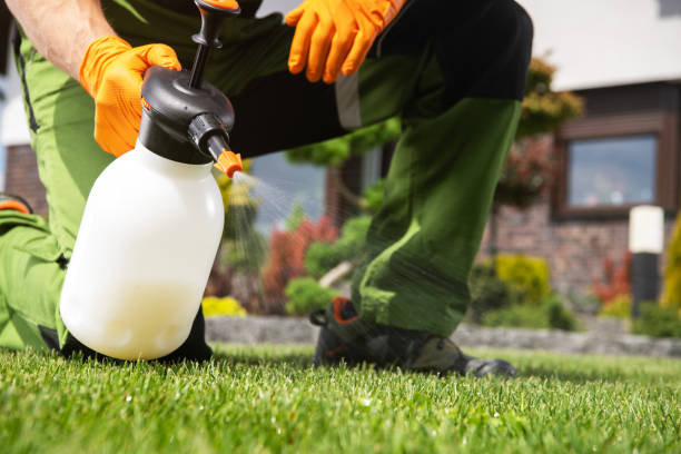 Best Mosquito Control Services  in Fellsmere, FL