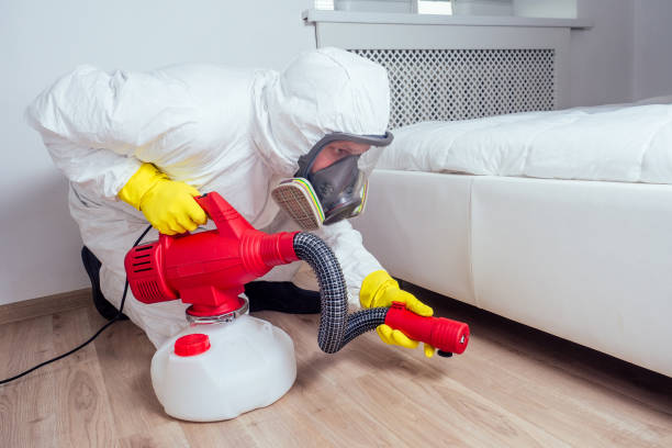 Best Wildlife Control Services  in Fellsmere, FL