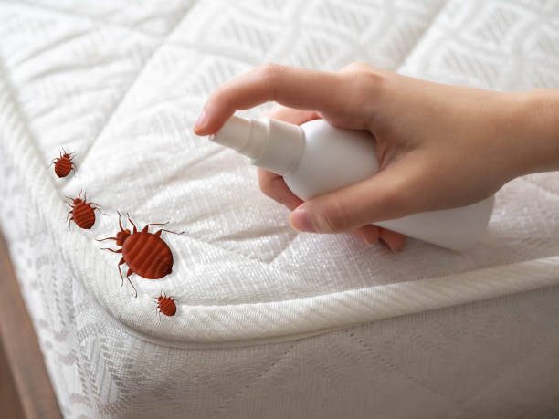 Best Best Pest Control Companies  in Fellsmere, FL