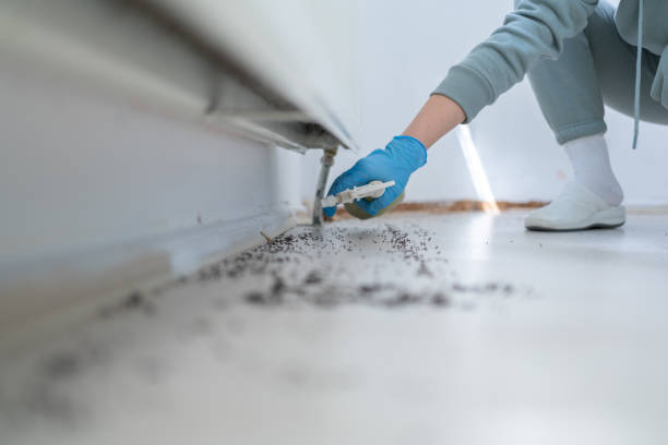 Best Residential Pest Control  in Fellsmere, FL